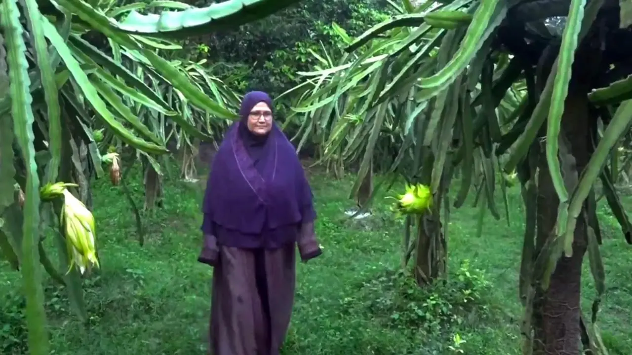 স্বামী হারানোর পর সংসারের হাল ধরেন খাদিজা বেগম, এখন সফল উদ্যোক্তা