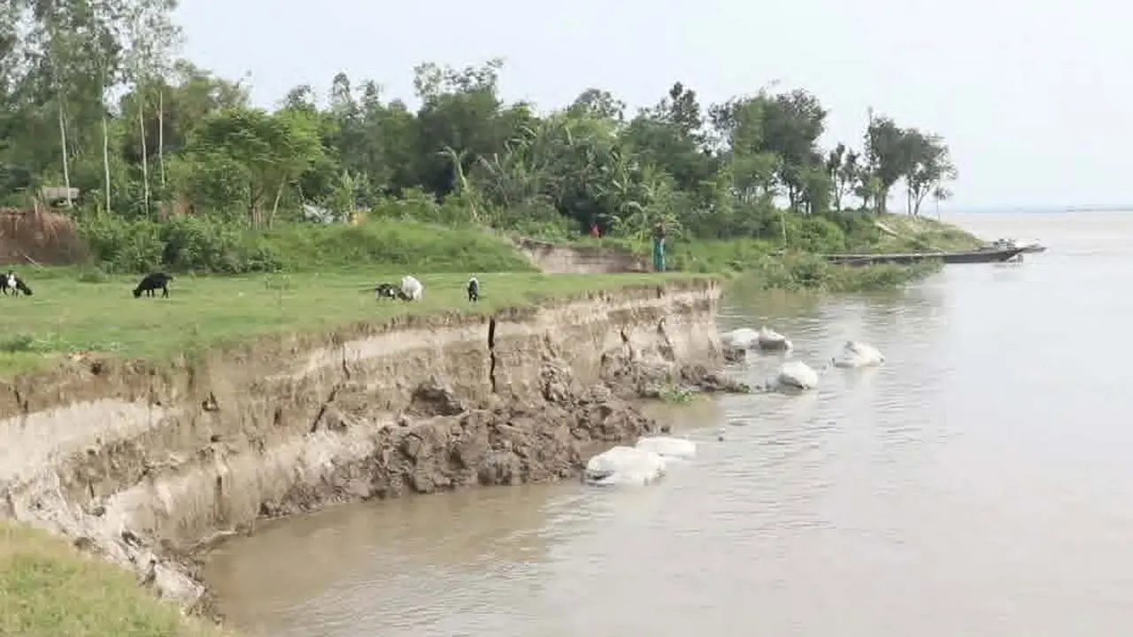 যমুনা নদীতে ভাঙন, বিলীন হচ্ছে বসতবাড়ি-ফসলি জমি