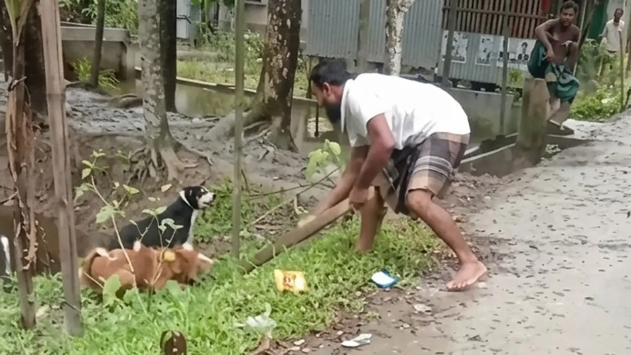 পটুয়াখালীতে কুকুর হত্যার ঘটনায় মামলা