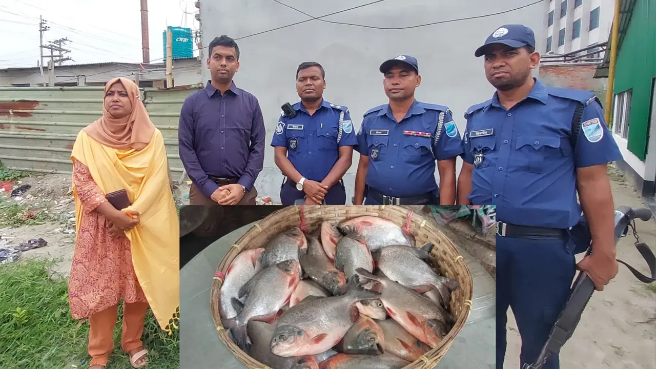 সোনারগাঁয়ে নিষিদ্ধ পিরানহা মাছ জব্দ