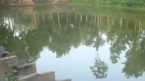 ছোট বোনকে বাঁচাতে গিয়ে পানিতে ডুবে মারা গেল বড় ভাইও