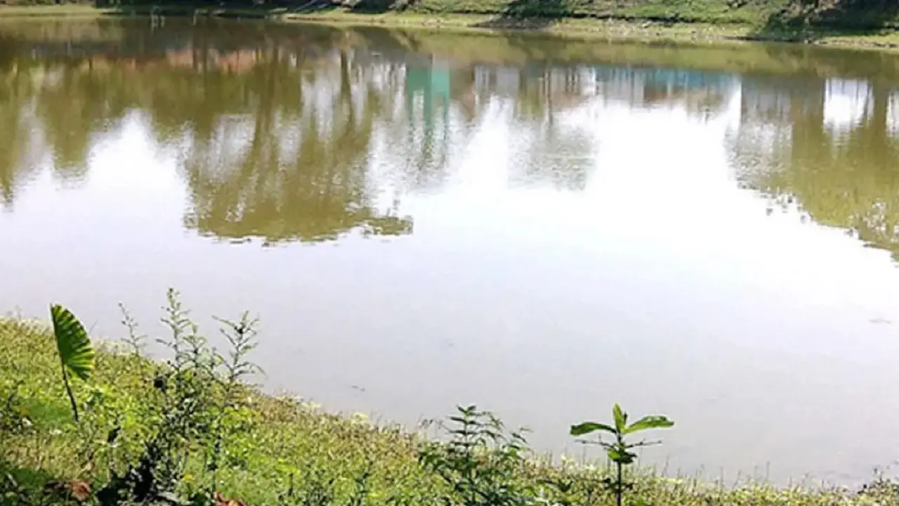 ভোলায় পুকুর থেকে অজ্ঞাত যুবকের মরদেহ উদ্ধার
