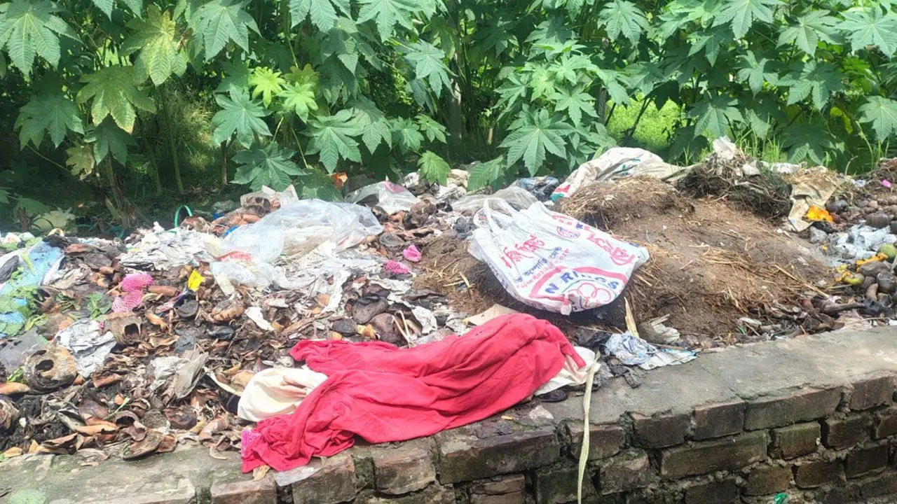 রাজবাড়ীতে ময়লার ভাগাড় থেকে নবজাতকের মরদেহ উদ্ধার