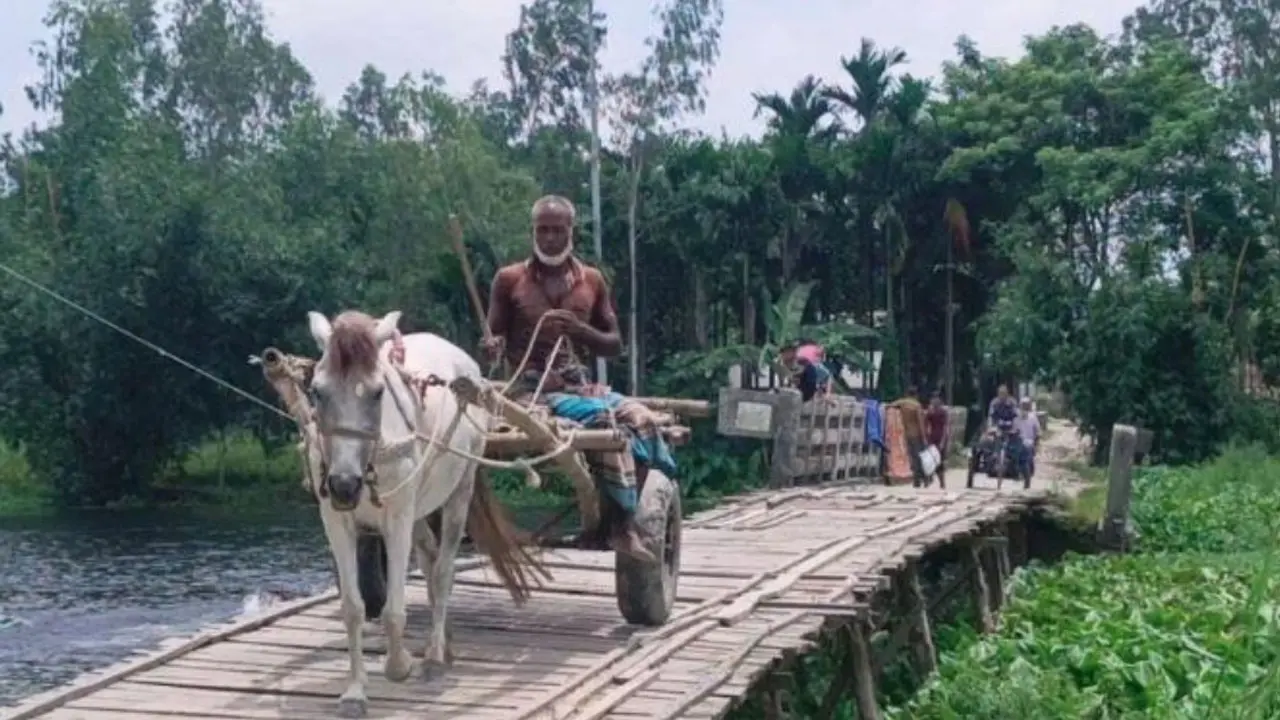 ১০ বছরেও হয়নি সংযোগ সড়ক, সাঁকো দিয়ে উঠতে হয় ৩৭ লাখ টাকার সেতুতে