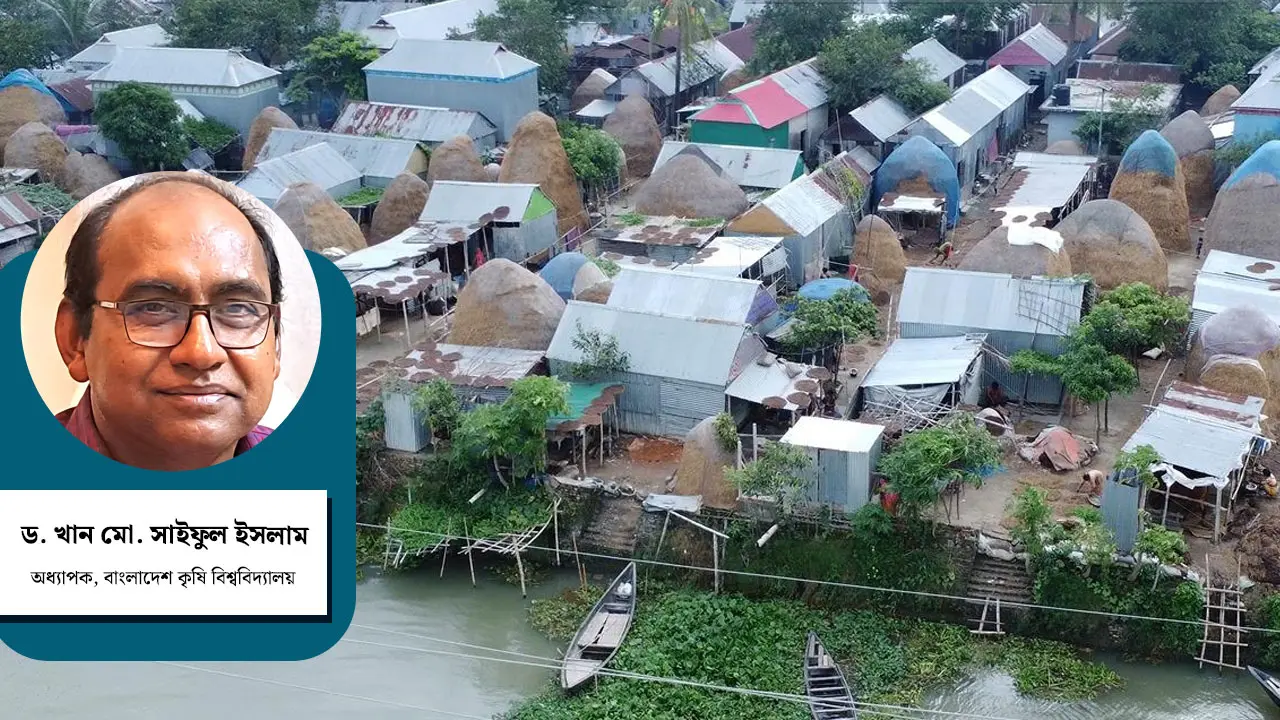 হাওর অঞ্চলে পশু খাদ্য সংরক্ষণ : সম্ভাবনা ও সুযোগ