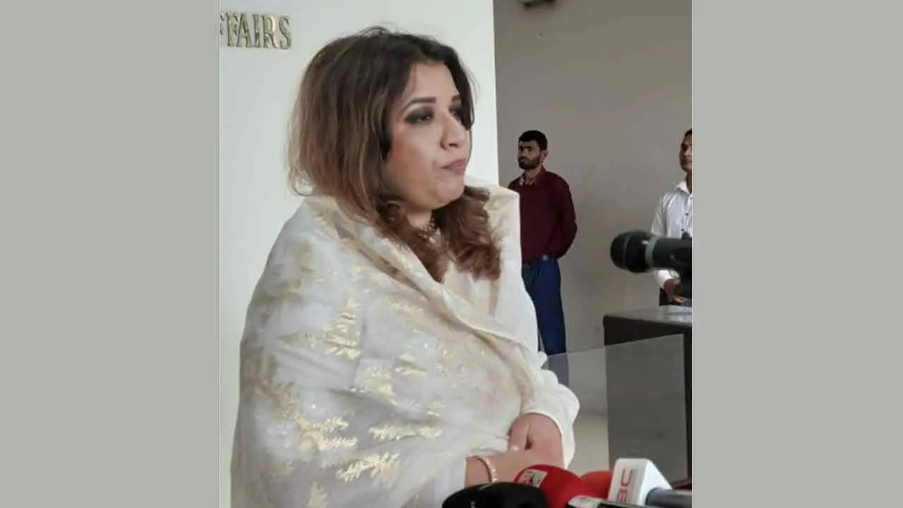 ‘নেতাকর্মীদের উজ্জীবিত করতে দেশে ফেরার কথা বলছেন শেখ হাসিনা’