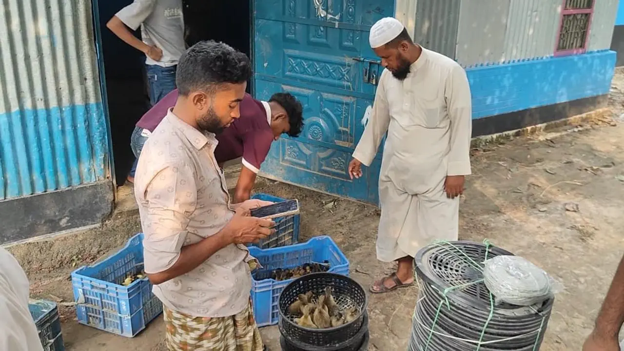 এক শাহ আলমের হাত ধরে ‘হাঁসের গ্রাম’ হয়ে ওঠার গল্প