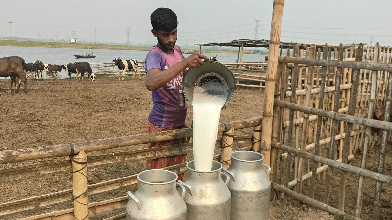 উৎপাদন বাড়লেও কমছে লাভ, দুধের দাম নিয়ে দুশ্চিন্তায় খামারিরা