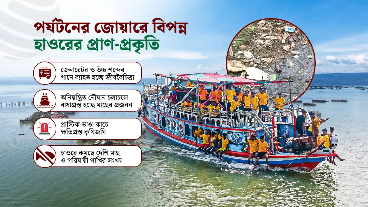 হাউজবোটের ভিড়ে হুমকিতে হাওর, তবু সঠিক সংখ্যা জানা নেই কর্তৃপক্ষের