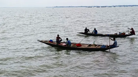 টাঙ্গুয়ার হাওরের অভয়াশ্রমে ‘৪০০ টাকায়’ ধরা হচ্ছে মাছ