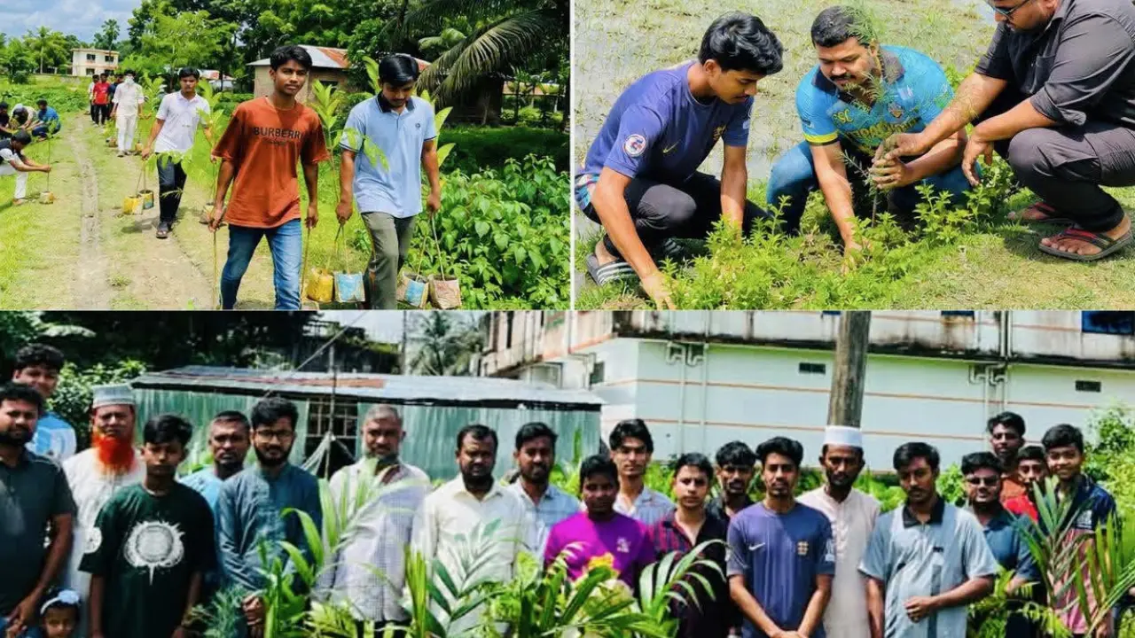 চৌদ্দগ্রামে সবুজায়নে তরুণদের ব্যতিক্রমী উদ্যোগ