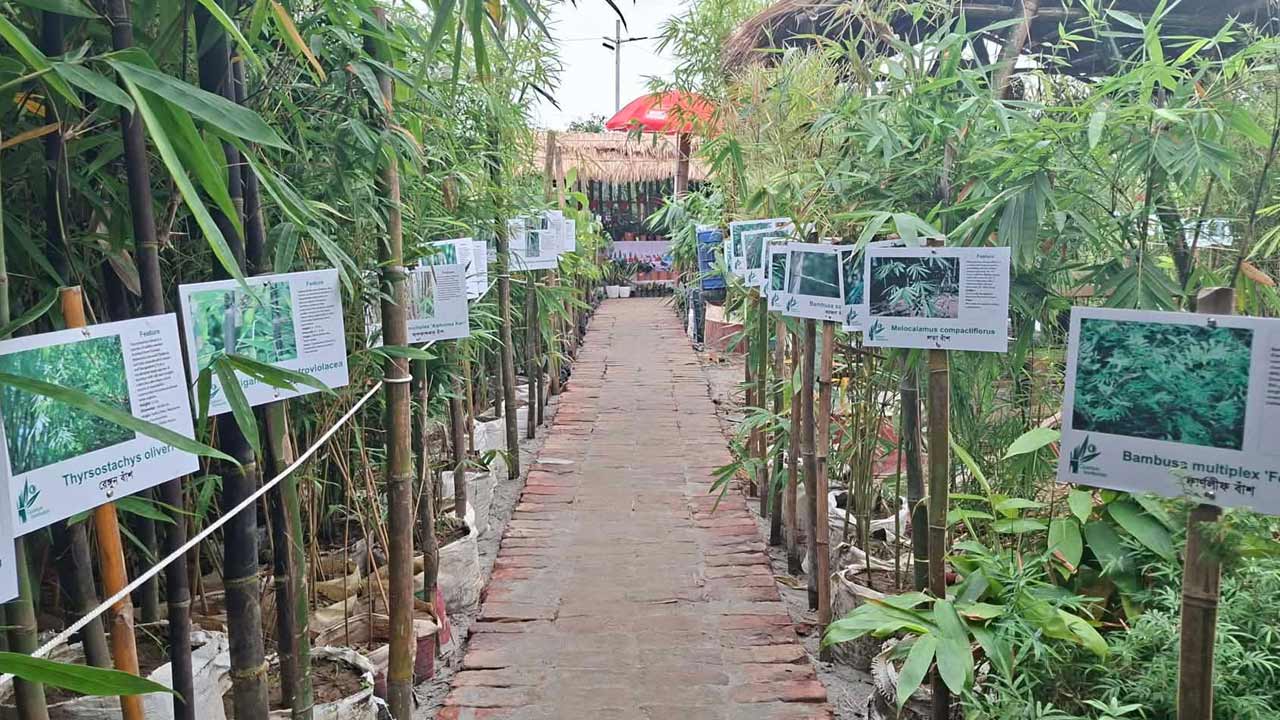 dhakapost