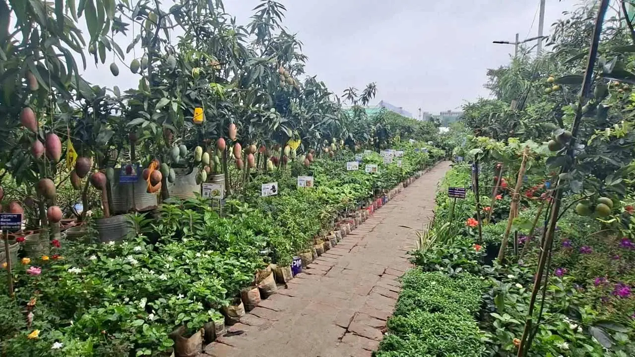 বৃষ্টি ও পর্যাপ্ত প্রচারের অভাবে এখনো জমেনি মেলা
