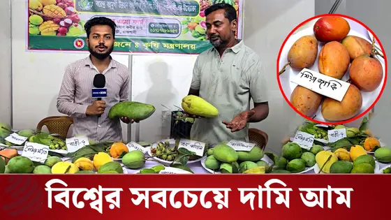 বিশ্বের সবচেয়ে দামি আম ঢাকার ফল মেলায়