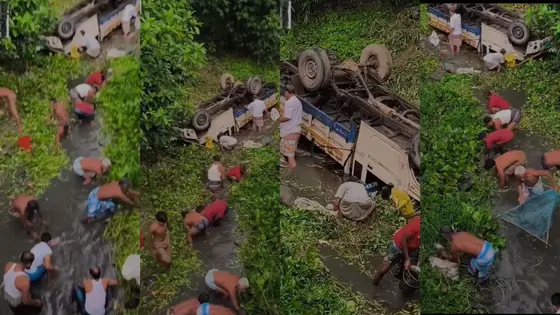 পিকআপ উল্টে খালে পড়তেই স্থানীয়দের মাছ ধরার প্রতিযোগিতা