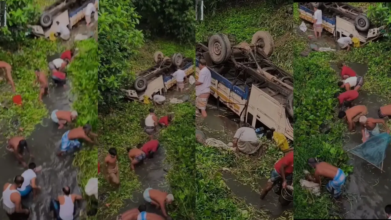 পিকআপ উল্টে খালে পড়তেই স্থানীয়দের মাছ ধরার প্রতিযোগিতা