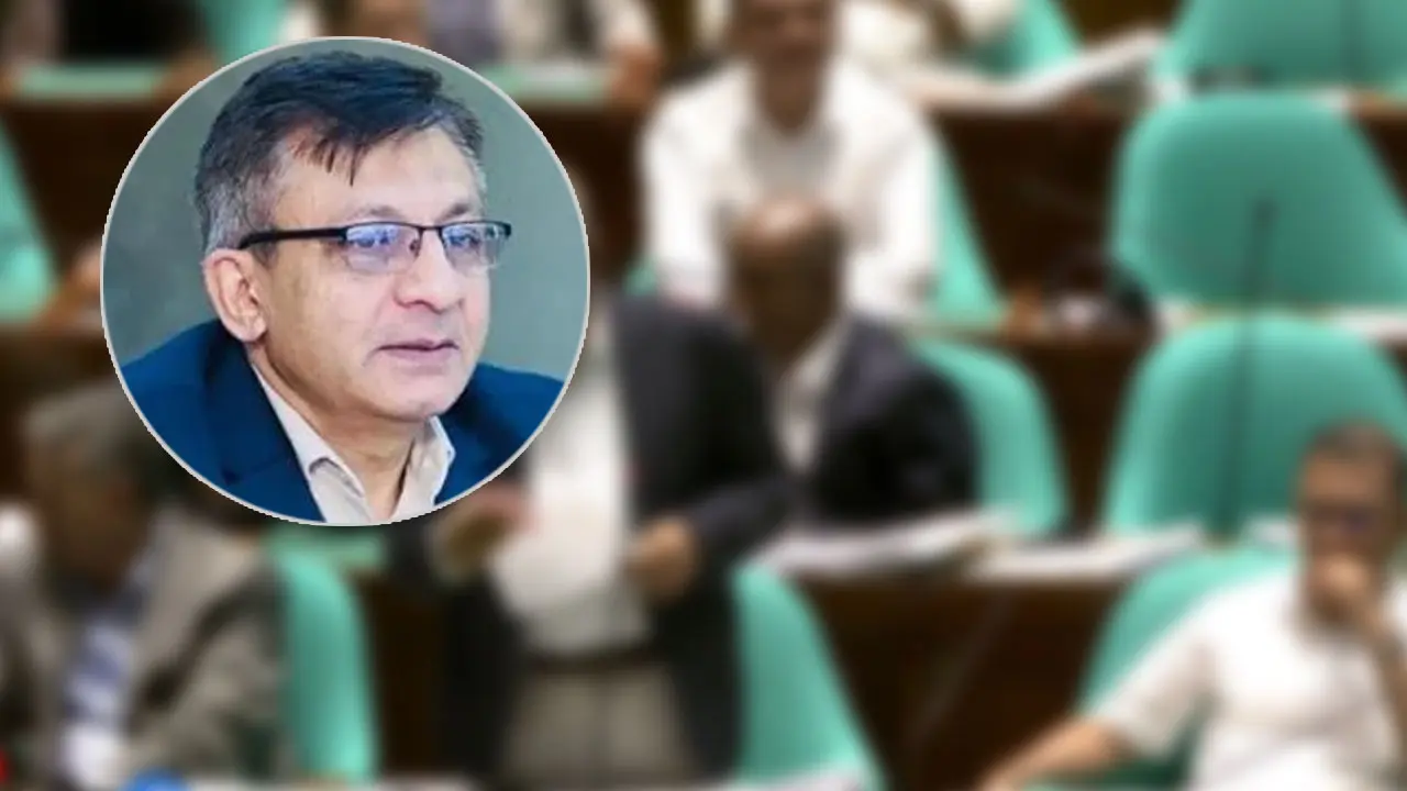 পোশাক খাতের মতো সুবিধা পেতে যাচ্ছে চামড়া শিল্প : সংসদে বাণিজ্যমন্ত্রী