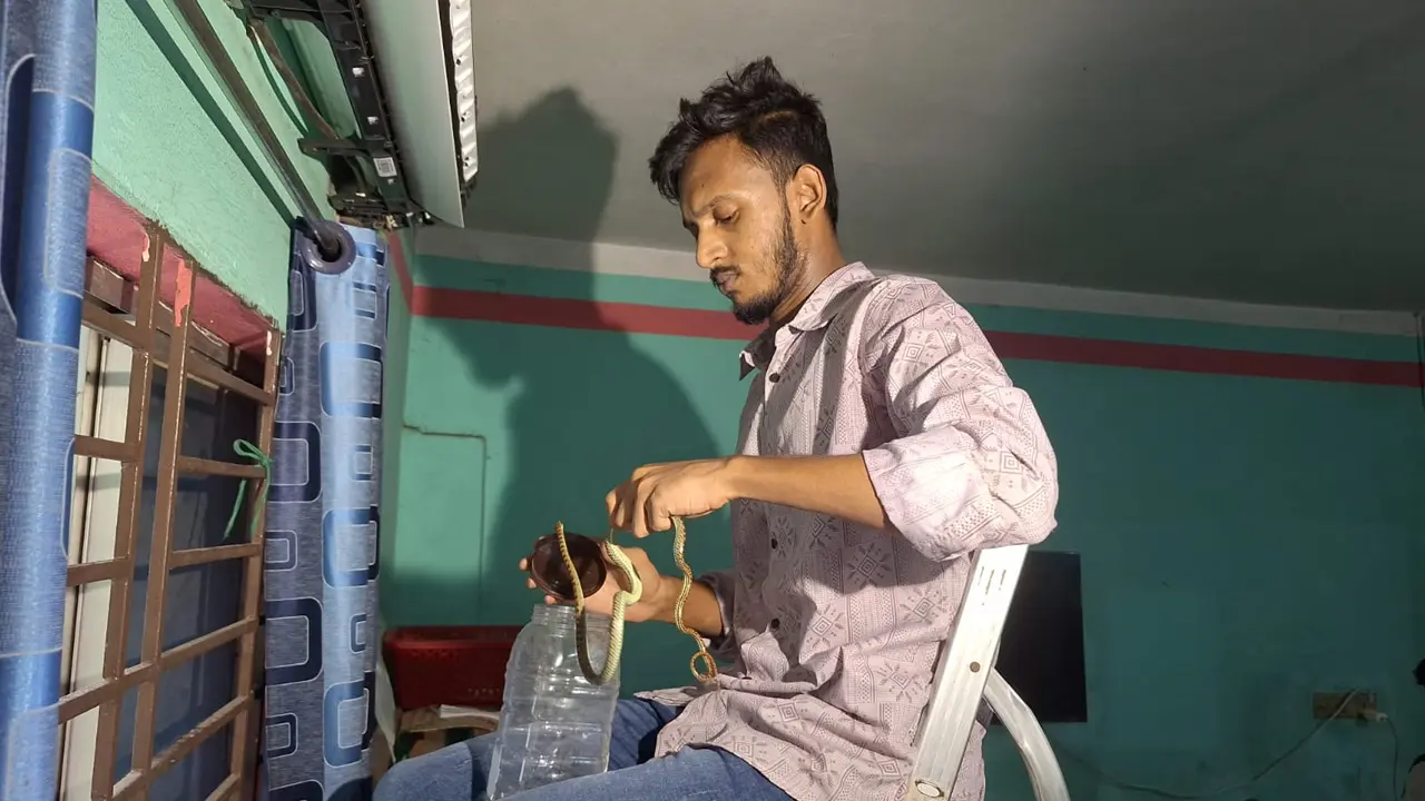 বাসার এসির ভেতরে মিলল দুই জোড়া কাল নাগিনী সাপ