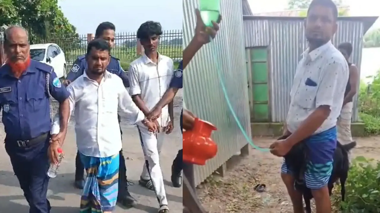 ছাগলকে পাইপ দিয়ে জোরপূর্বক পানি খাওয়ানোর ভিডিও ভাইরাল, অভিযুক্ত আটক
