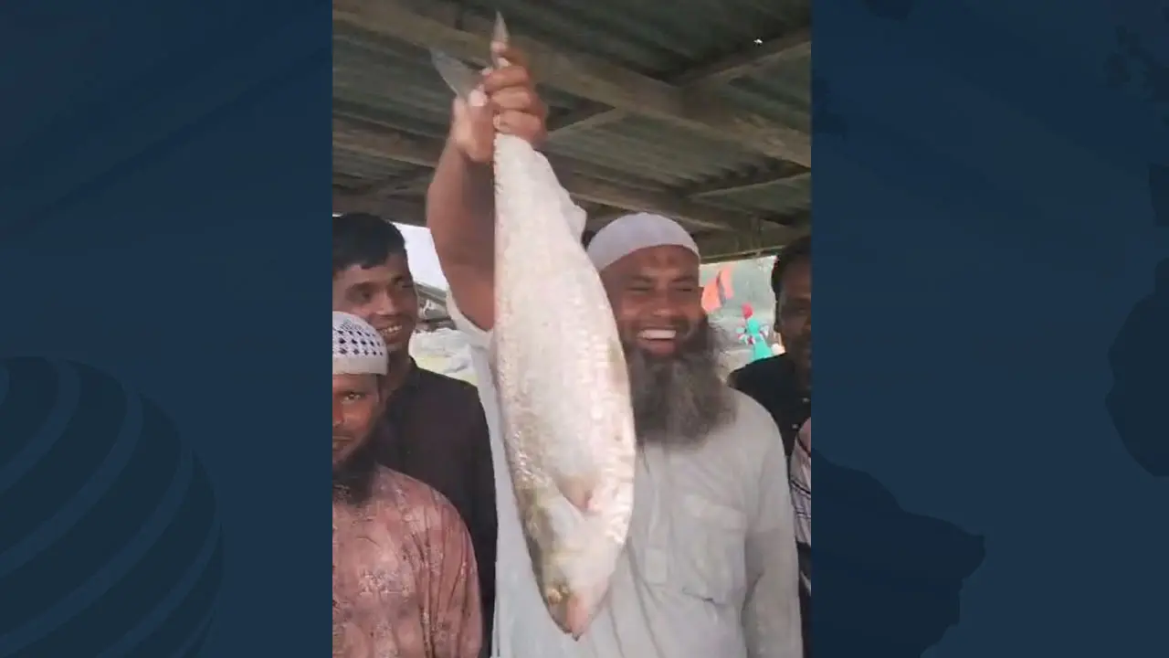 মেঘনার এক ইলিশ বিক্রি হলো ১১৬০০ টাকা