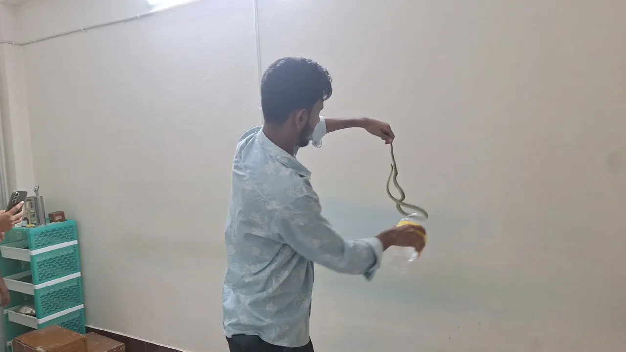 ক্লিনিকের এসি খুলতেই বেরিয়ে এলো সাপ