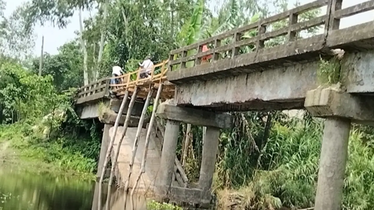 কুড়িগ্রামে ভেঙে পড়া সেতু এখন গলার কাঁটা, চরম দুর্ভোগে লাখো মানুষ