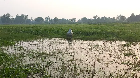 জয়পুরহাট সীমান্তে পুশইনের চেষ্টা, সেই বৃদ্ধকে সরিয়ে নিলো বিএসএফ