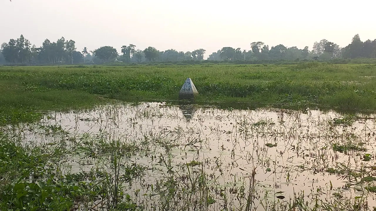 জয়পুরহাট সীমান্তে পুশইনের চেষ্টা, সেই বৃদ্ধকে সরিয়ে নিলো বিএসএফ