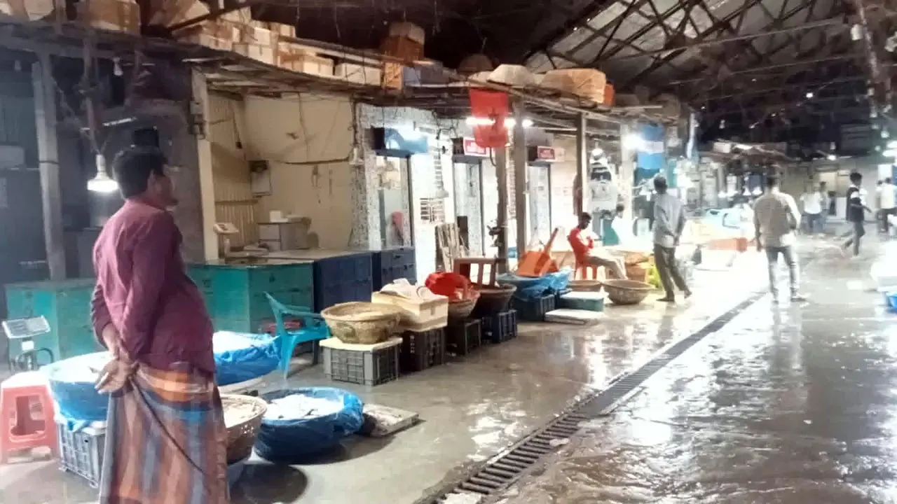 চাঁদপুর মাছঘাটে নেই ইলিশ, হতাশ ক্রেতা-বিক্রেতা