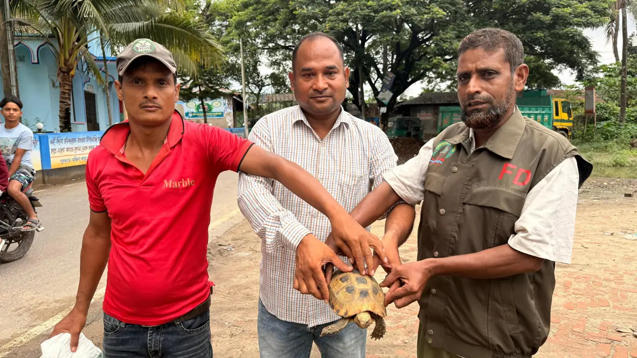 চট্টগ্রামে পরিত্যক্ত বস্তা থেকে মহাবিপন্ন হলুদ পাহাড়ি কচ্ছপ উদ্ধার