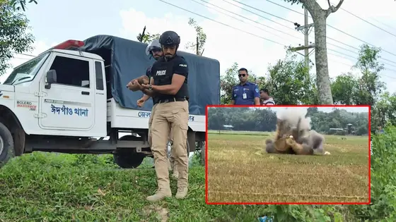 কক্সবাজারে তিনটি কামানের গোলা নিষ্ক্রিয় করল সিটিটিসি