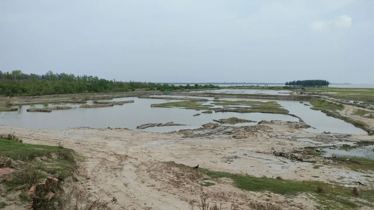 বনখেকোদের পর মাটিখেকোদের কবলে আনোয়ারার গহিরা প্যারাবন