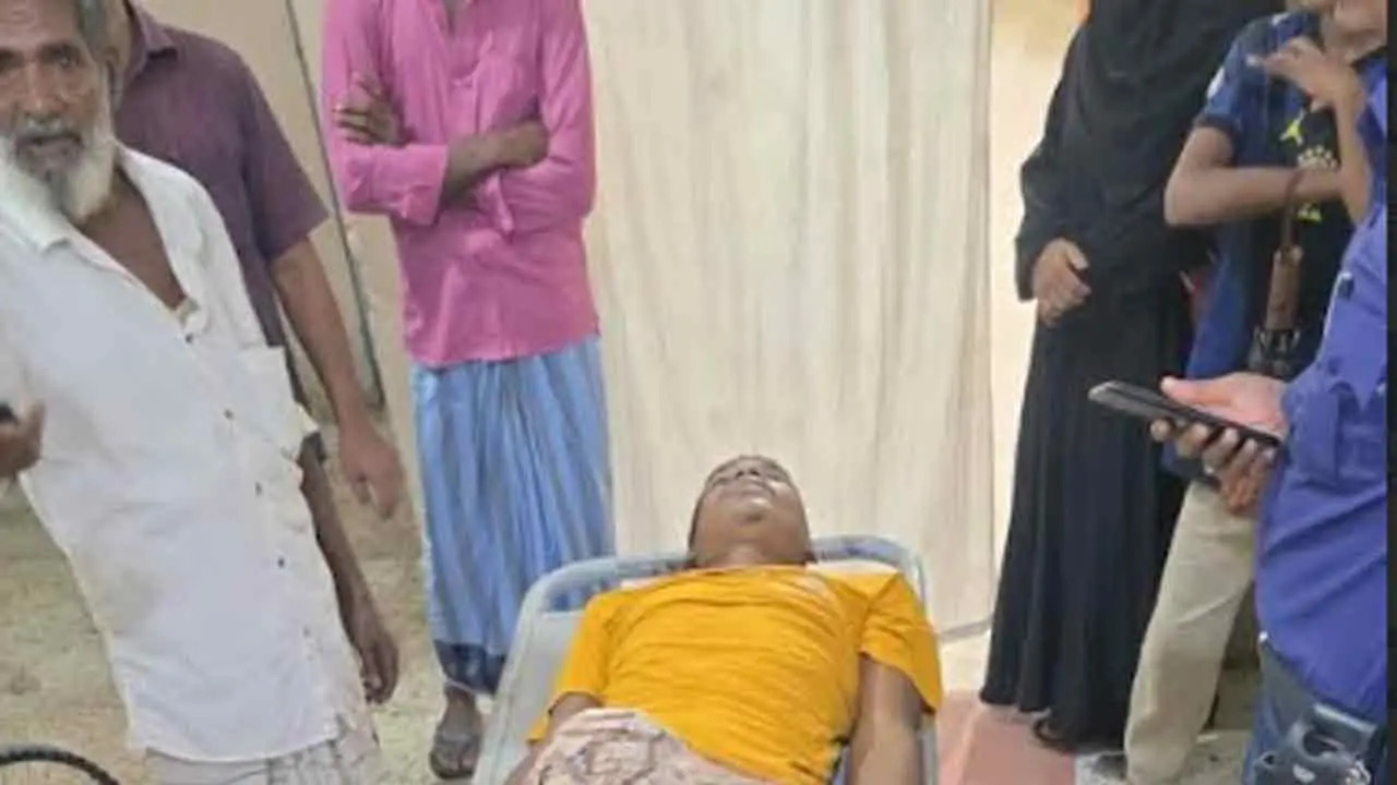 লোহাগাড়ায় বিষধর সাপের কামড়ে কিশোরের মৃত্যু