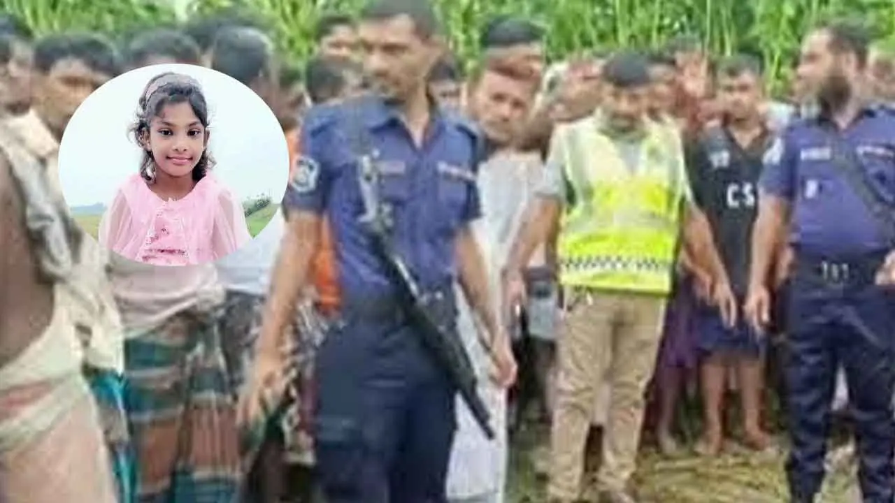 নিখোঁজের পরদিন পাটখেতে মিলল শিশুর মরদেহ