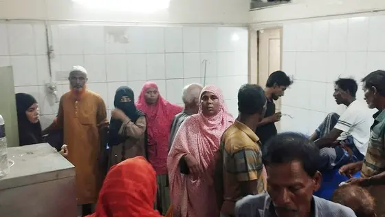 মেহেরপুরে পাগলা কুকুরের কামড়ে আহত ১৭