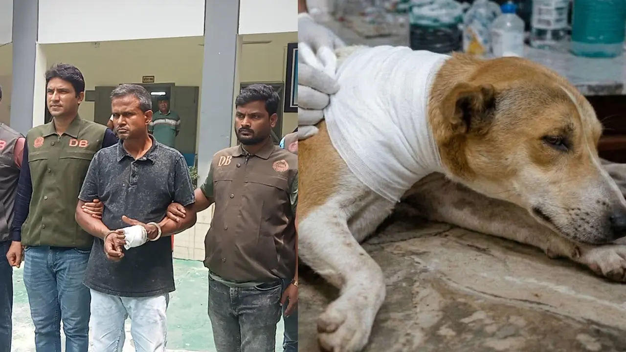 কুকুরকে ধারালো অস্ত্রের আঘাত, ব্যবসায়ী গ্রেপ্তার