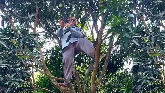 অনলাইনে হাজিরা দিতে গাছে উঠতে বাধ্য হলেন প্রধান শিক্ষক
