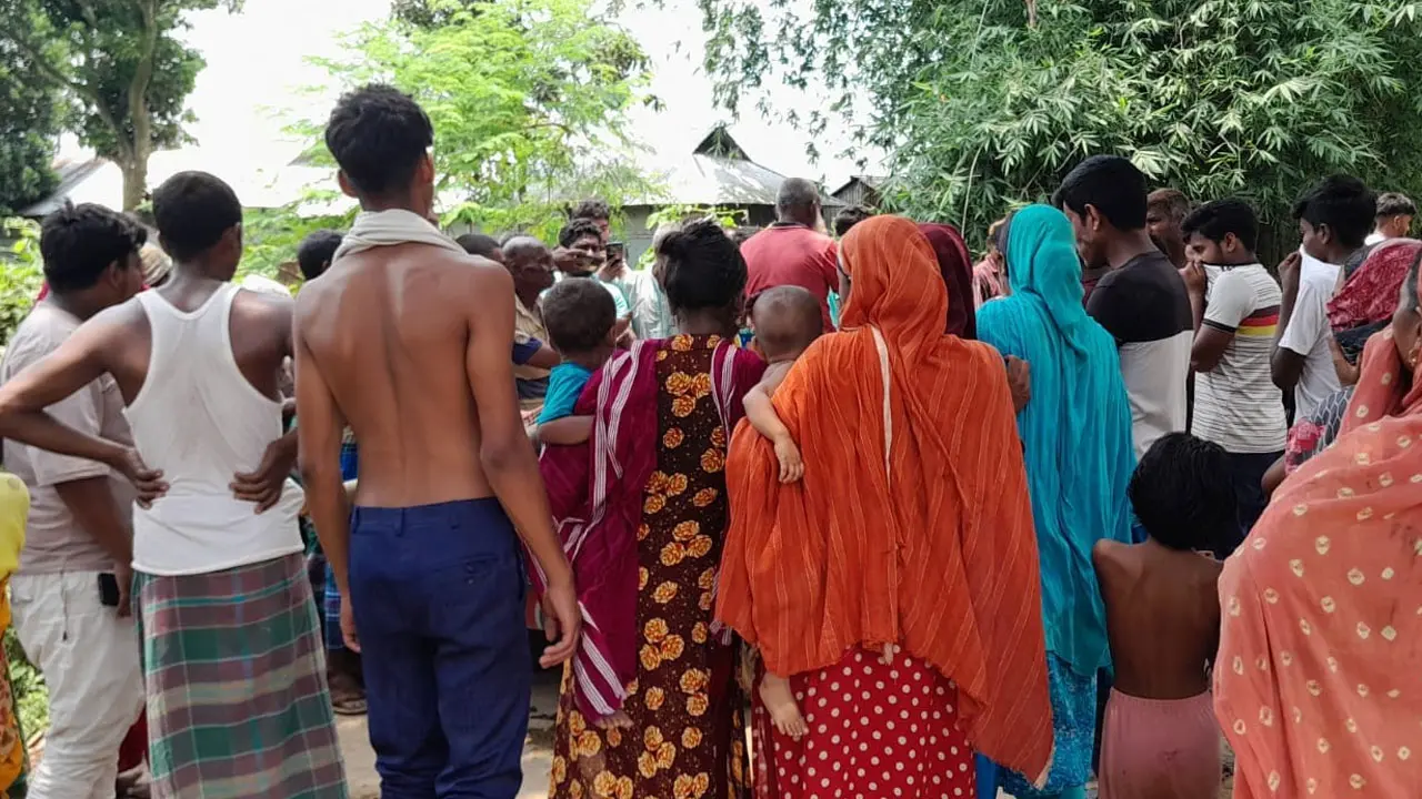 জামালপুরে বন্যহাতির আক্রমণে একজনের মৃত্যু