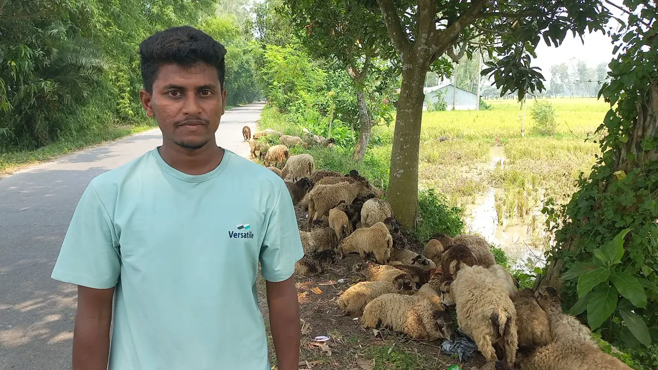 দাদির উপহারের ভেড়া থেকে সফল খামারি আশিক