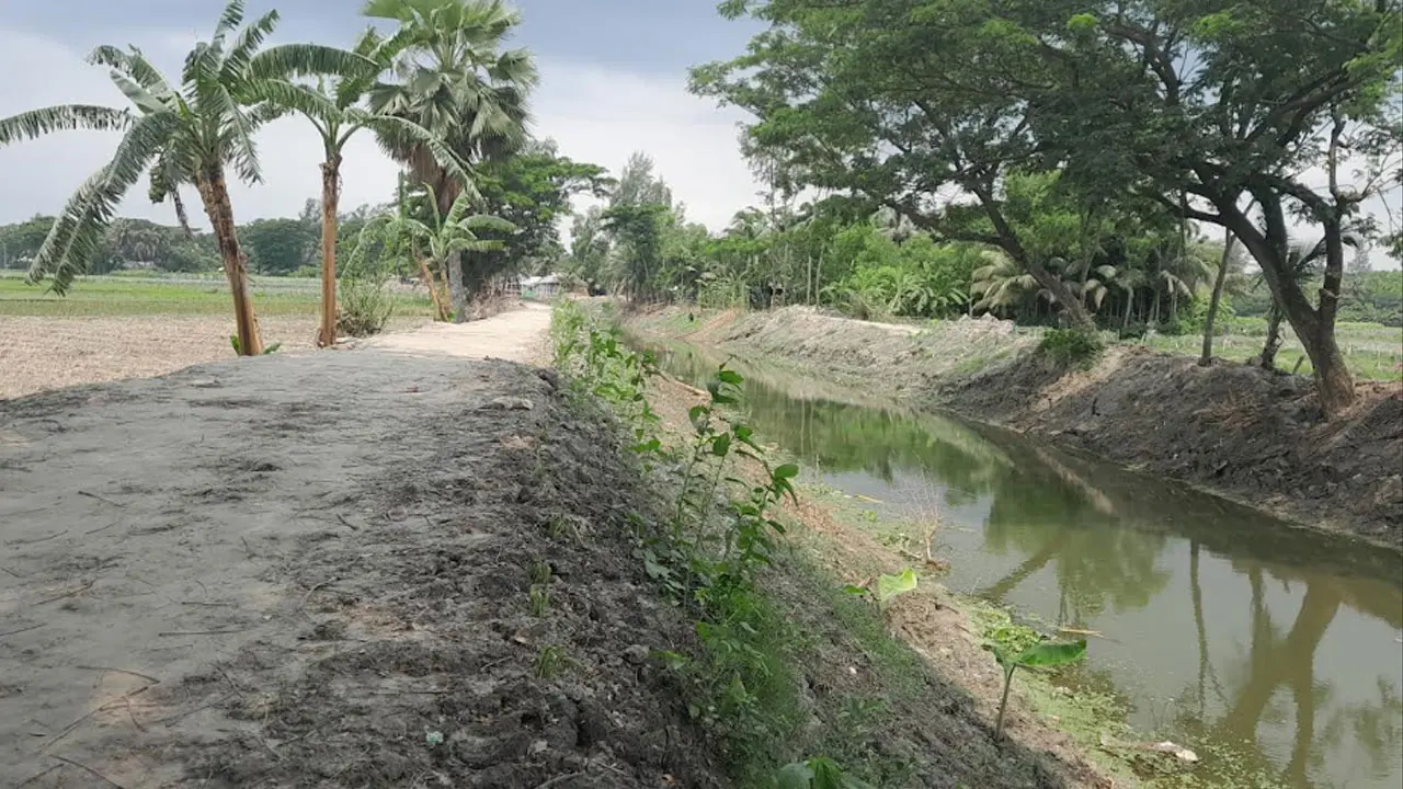 মুছার খাল পুনঃখননে দূর হচ্ছে সেচ সংকট, স্বপ্ন দেখছে কৃষক