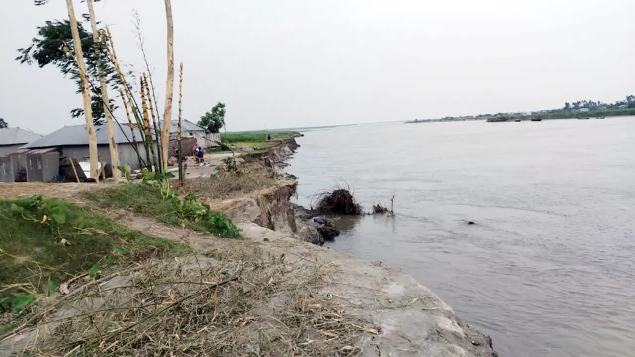 ব্রহ্মপুত্র নদের ভাঙনে ৫০ ঘরবাড়ি বিলীন, হুমকির মুখে শতাধিক পরিবার
