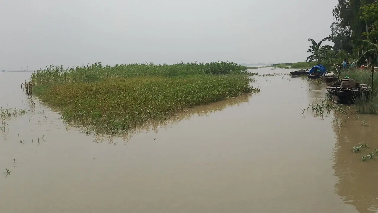 কুড়িগ্রামে বাড়ছে নদ-নদীর পানি, বন্যার শঙ্কা