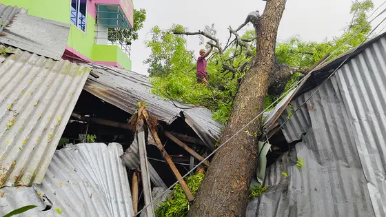 খোকসায় ঝড়ে তছনছ তিন গ্রাম