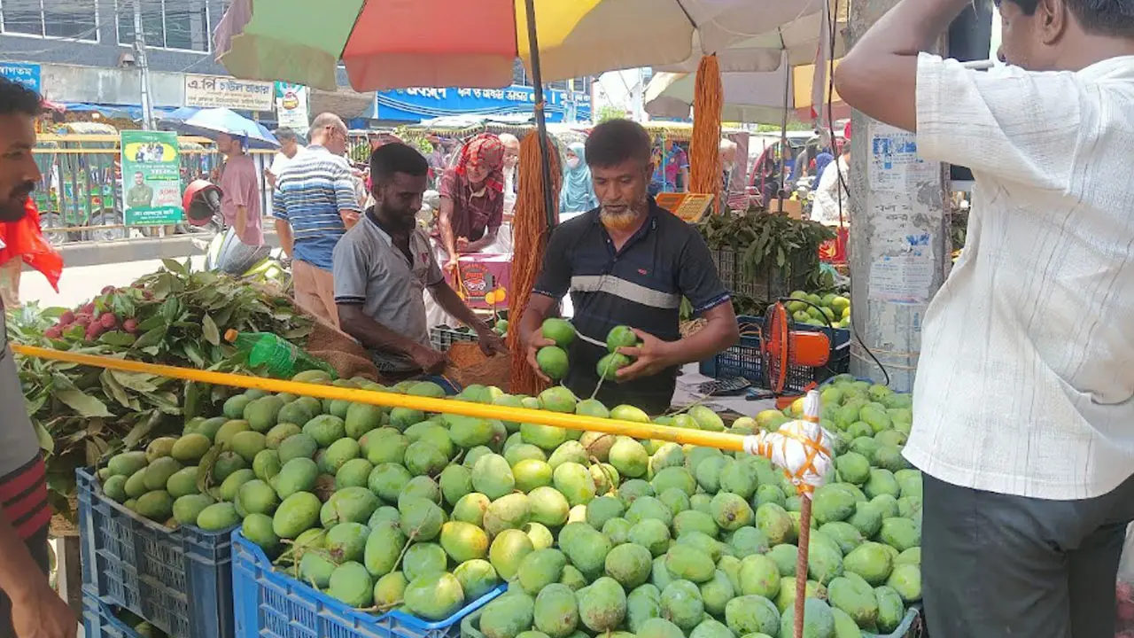 রাজশাহীতে ৪০, ঢাকায় ৯০ টাকা—একই আমের দামে কেন এত ব্যবধান?