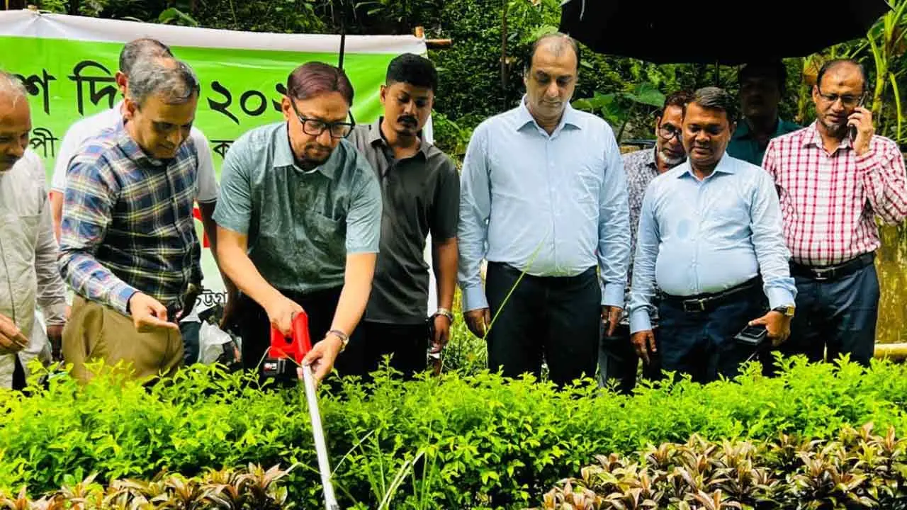 সবুজ চট্টগ্রাম গড়তে ১০ লাখ গাছ রোপণ করা হচ্ছে : চসিক মেয়র