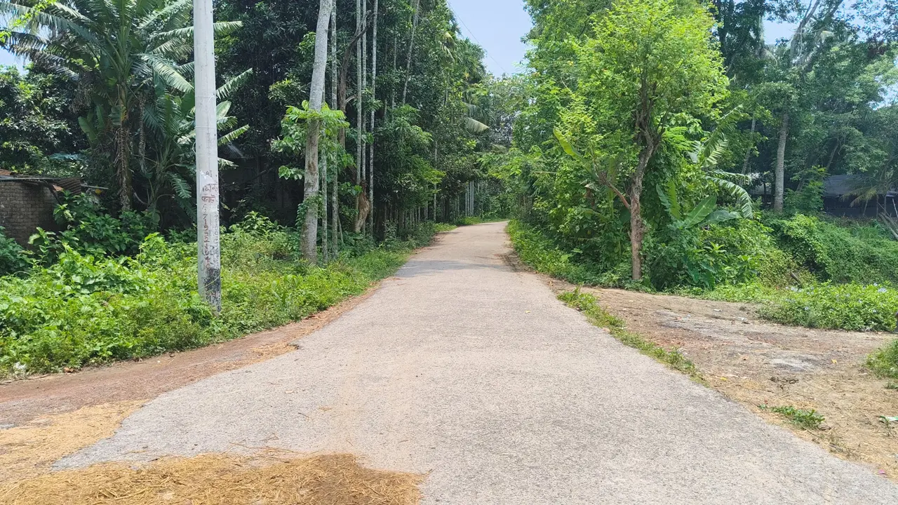 হামলা-মামলা ও গ্রেপ্তার আতঙ্কে পুরুষশূন্য ঝিনাইদহের এক গ্রাম