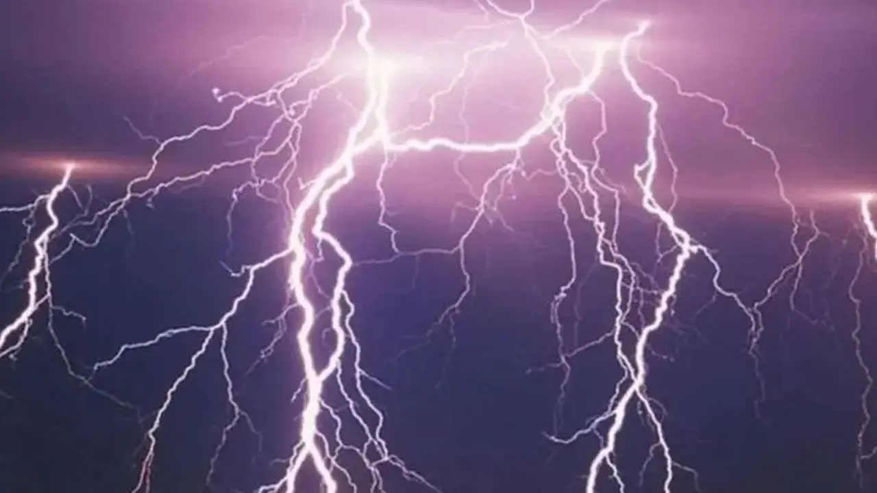 হাওরে মাছ ধরার সময় বজ্রপাতে দুই ভাইসহ নিহত ৩