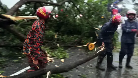 ঝড়ে গাছ পড়ে ঢাকা-চট্টগ্রাম মহাসড়কে ১ ঘণ্টা যান চলাচল বন্ধ