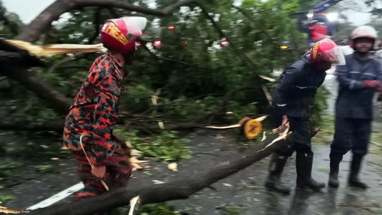 ঝড়ে গাছ পড়ে ঢাকা-চট্টগ্রাম মহাসড়কে ১ ঘণ্টা যান চলাচল বন্ধ