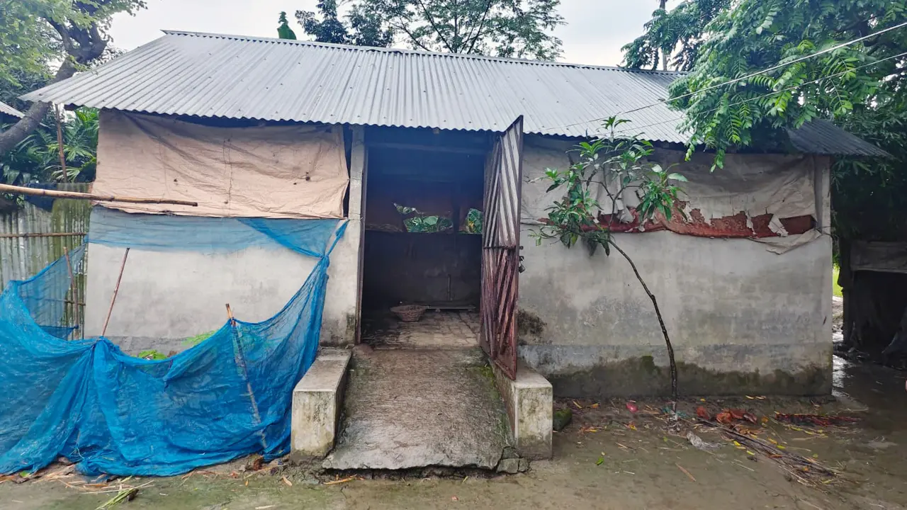 এক রাতে ৭ গরু চুরি, আতঙ্কে খামারিরা
